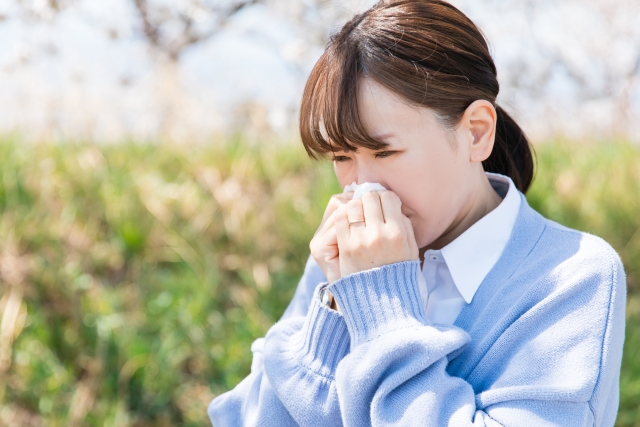 ブタクサ花粉症の改善方法とは?薬に頼らない鍼灸治療を紹介